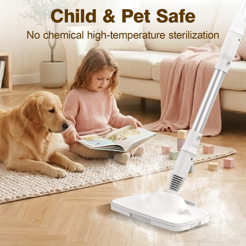 1200W Multifunctional Steam Mo - Home Bathroom Cleaner review and price